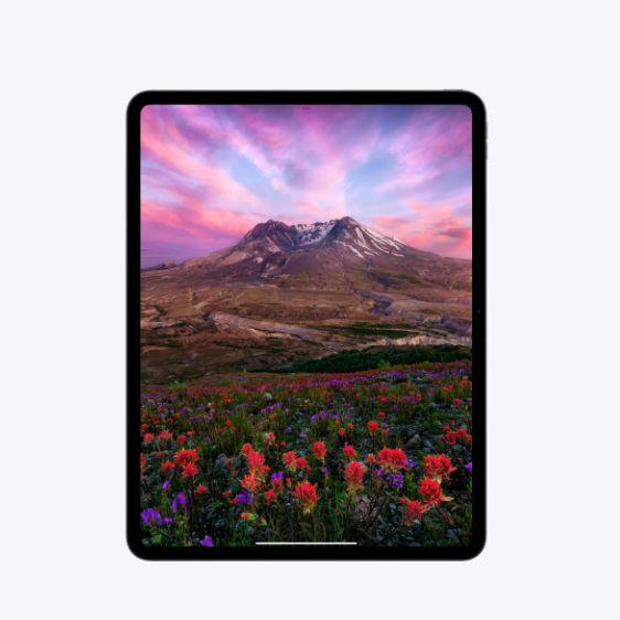 Apple iPad Pro M4 (13-inch) ,Ultra Retina XDR display2  ProMotion technology P3 wide color  True Tone  Antireflective coating  Standard glass