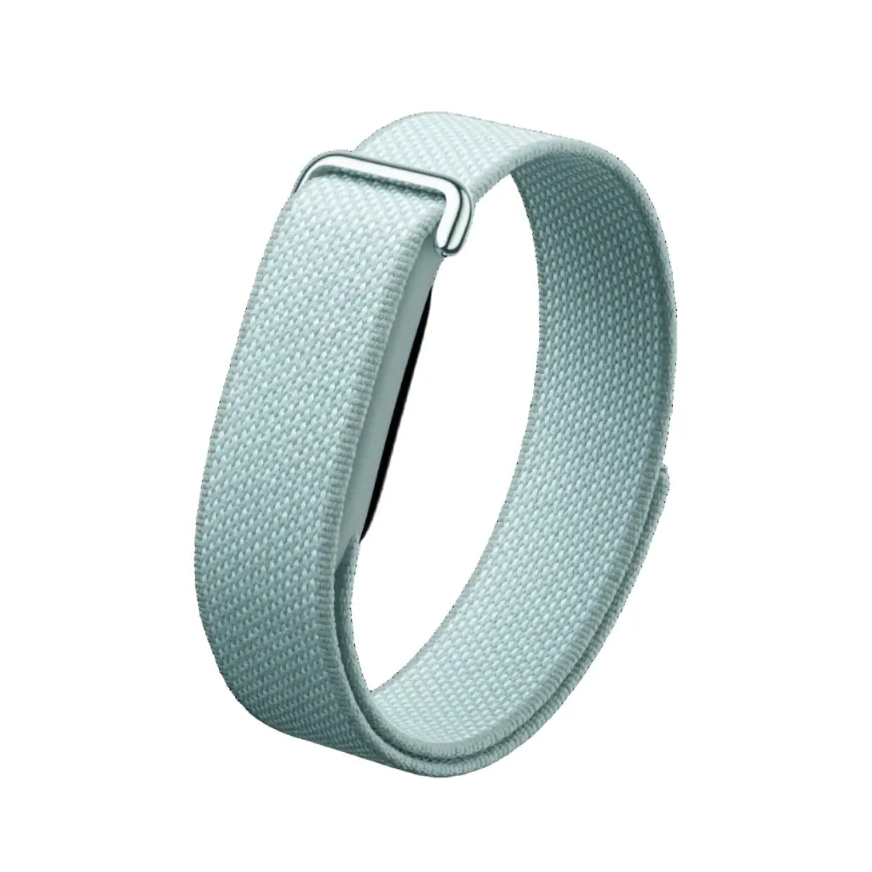 Google Fitbit Air