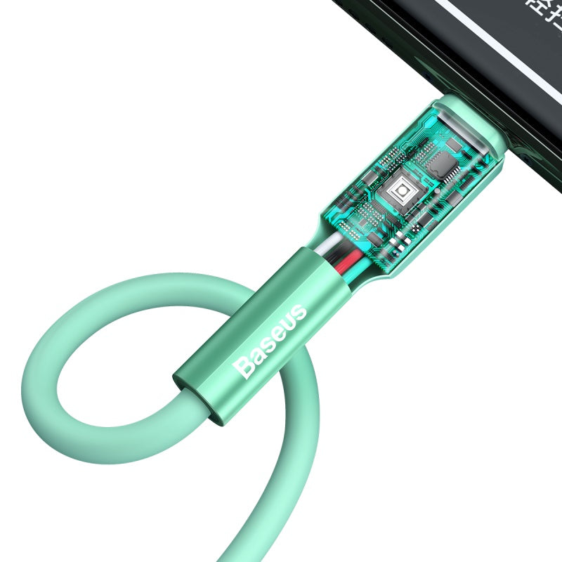 Baseus Silica Gel Cable USB For iPhone 1m - Green