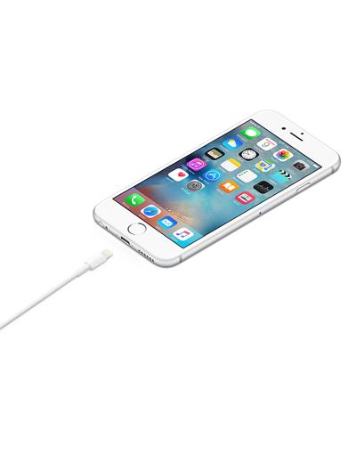 Apple® Lightning Cable 1m