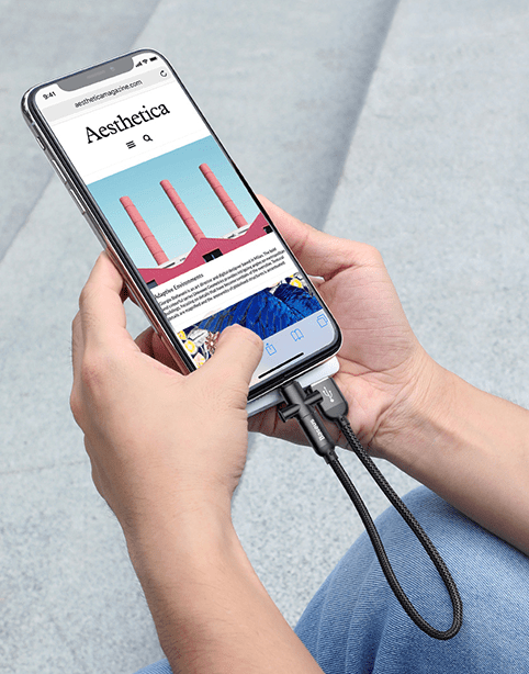 U-shaped Short PowerBank Cable 23cm For iPhone + Type C