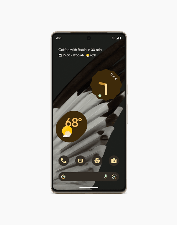 Google Pixel 7 Pro AMOLED Display 120Hz Google Tensor G2