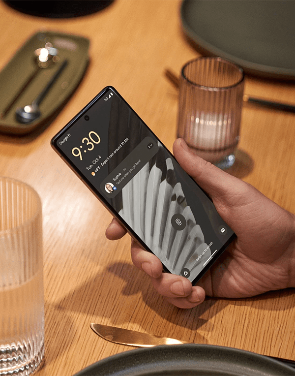 Google Pixel 7 Pro AMOLED Display 120Hz Google Tensor G2