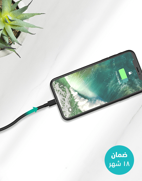 Ravpower RP-CB031 MFI Certified Cable 2m Black